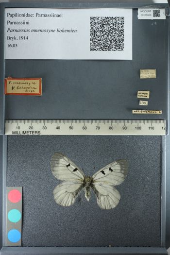 Media type: image;   Entomology 175500